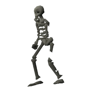 Skeleton