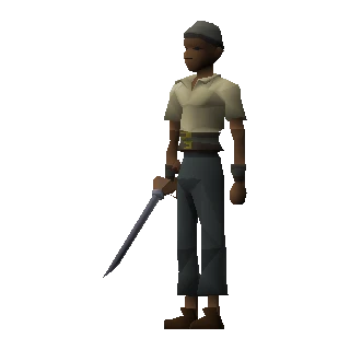 Pirate