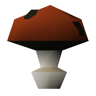 Fungi