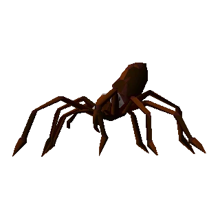 Huge spider