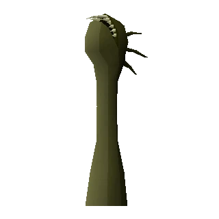 Head