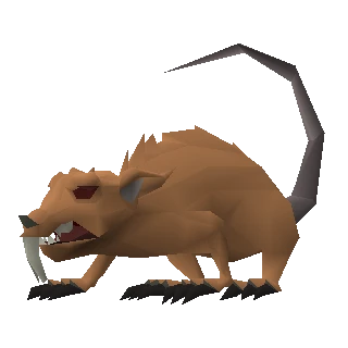 Angry giant rat