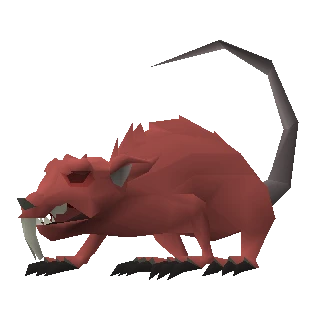 Angry giant rat