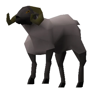Ram