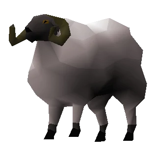 Ram