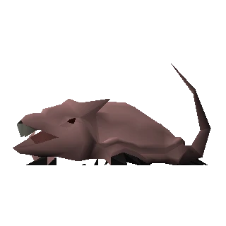 Brine rat