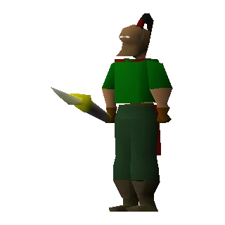 Gnome Mage