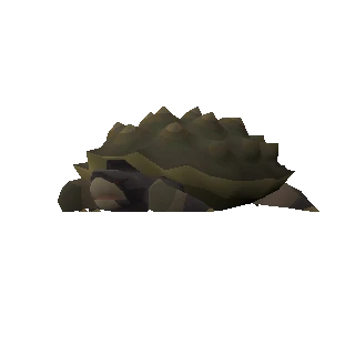 Tortoise