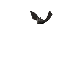 Bat