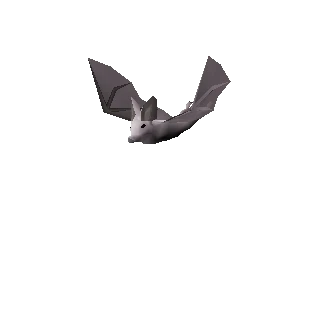 Albino bat