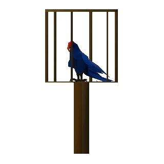 Parrot