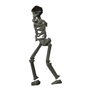 Skeleton