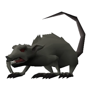 Giant rat
