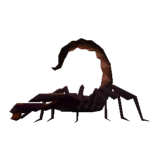 Scorpion