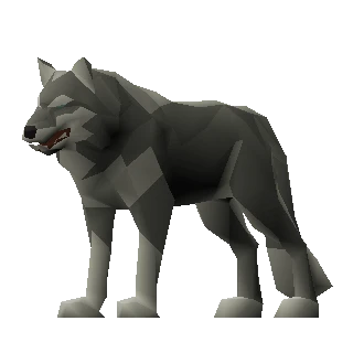 Wolf