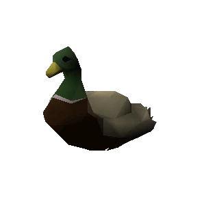 Duck