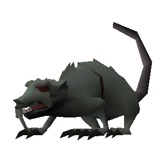 Giant rat