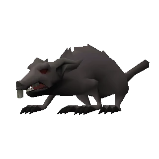 Giant rat