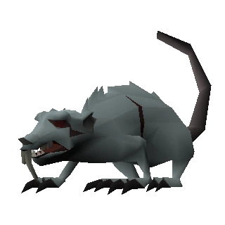 Giant rat
