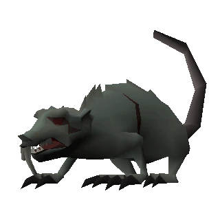 Giant rat