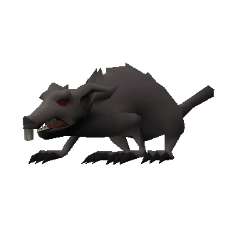 Giant rat