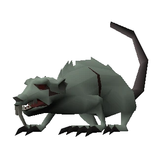 Dungeon rat