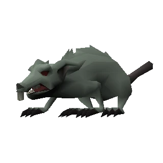 Dungeon rat