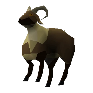 Goat