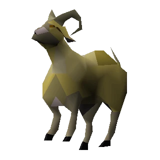 Goat