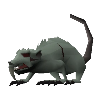 Dungeon rat