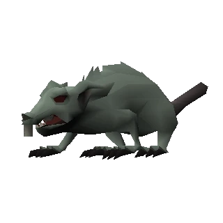 Dungeon rat