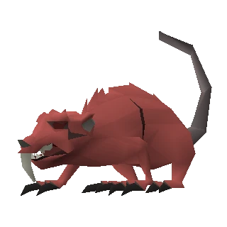 Angry giant rat