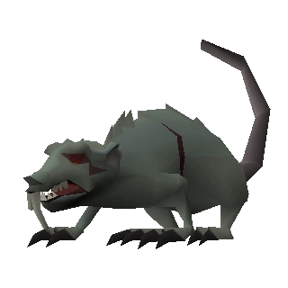 Giant rat