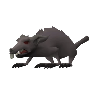 Giant rat