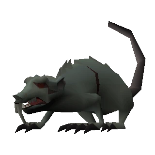 Giant rat