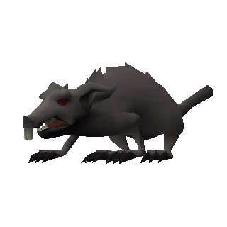 Giant rat