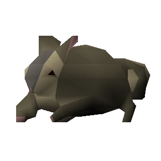 Chinchompa