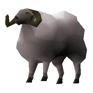 Ram