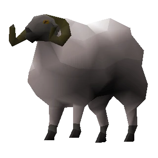 Ram