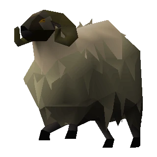 Ram