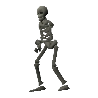 Skeleton