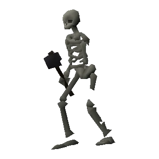 Skeleton