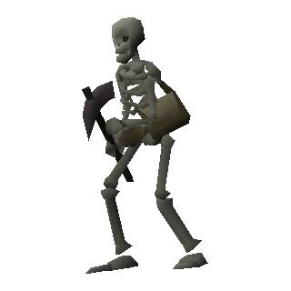 Skeleton