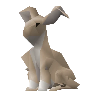 Rabbit