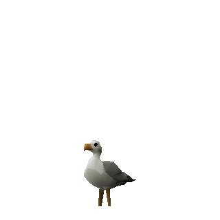 Seagull