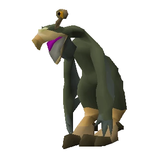 Warped terrorbird