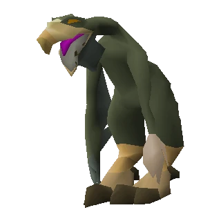 Warped terrorbird