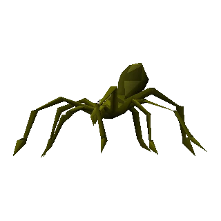 Jungle spider