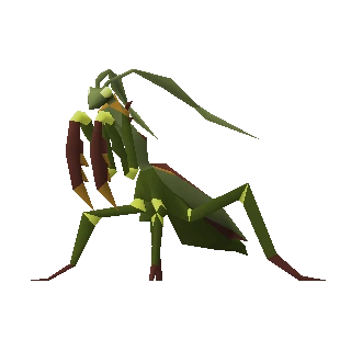 Praying mantis
