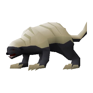 Honey badger